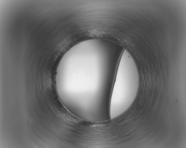 X0000062650508200512211037