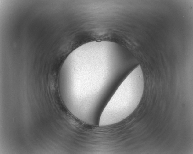 X0000062650515200512211037