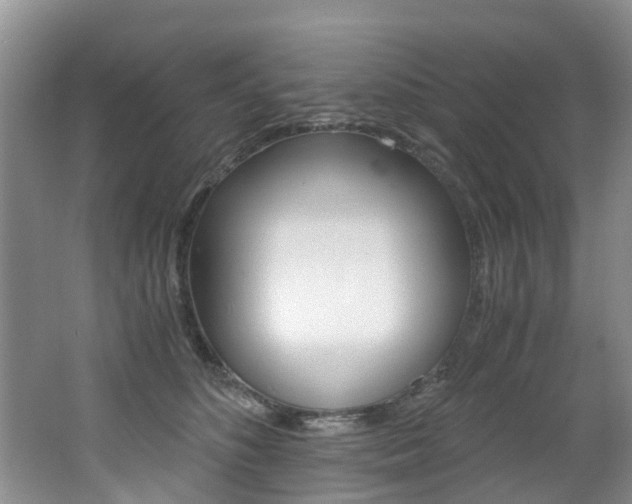 X0000062650516200512211037