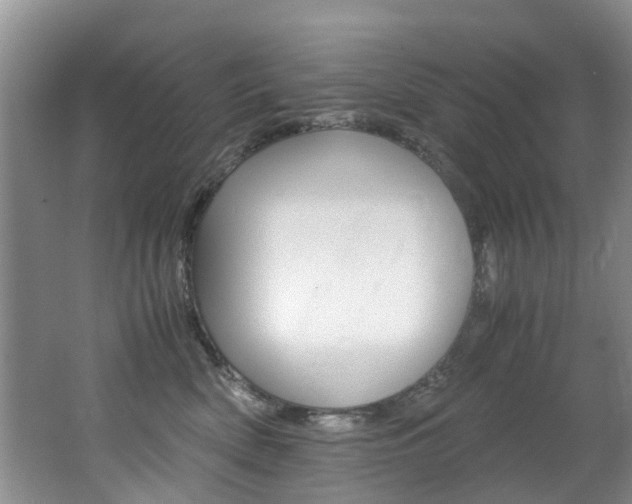 X0000062650522200512211037