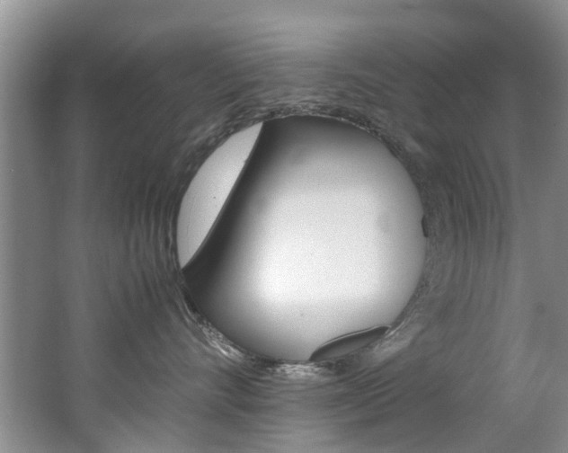 X0000062650528200512211037