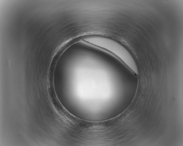 X0000062650536200512211036