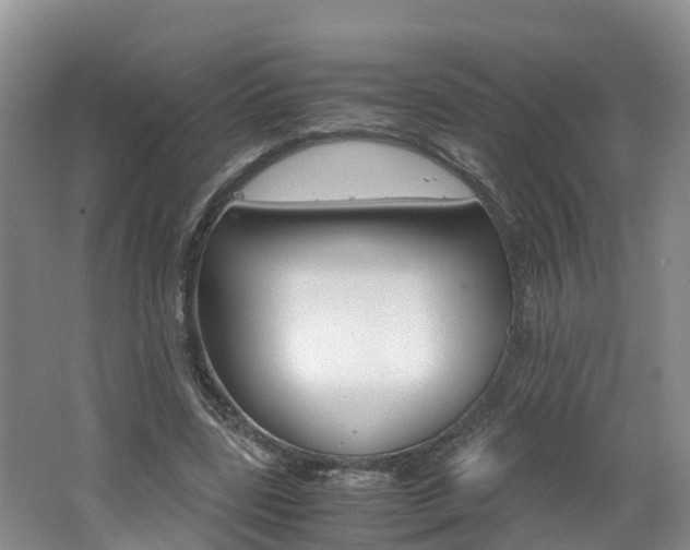X0000062650539200512211036