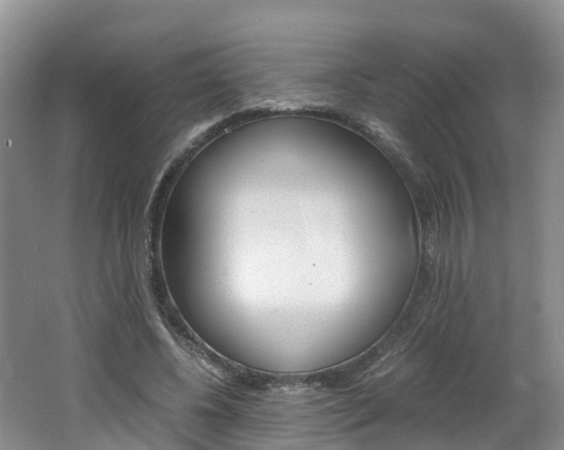X0000062650540200512211036