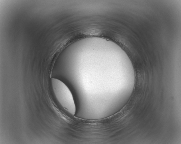 X0000062650541200512211037