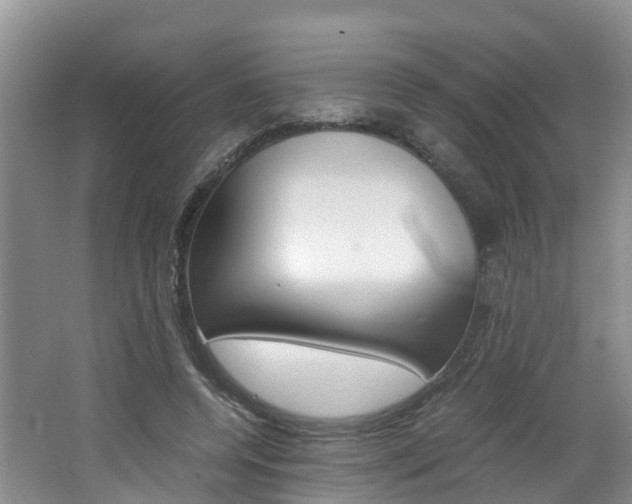 X0000062650544200512211037
