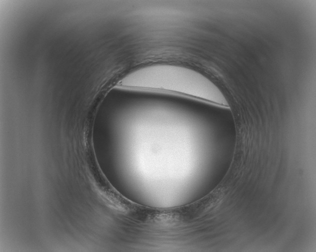 X0000062650546200512211037