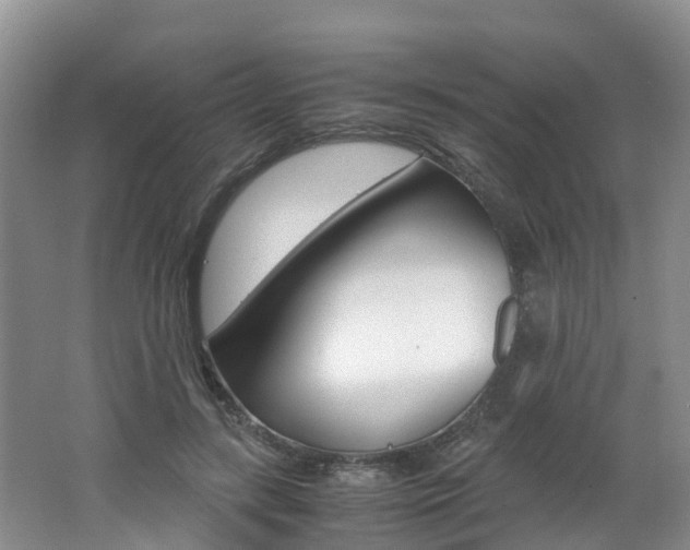 X0000062650547200512211037
