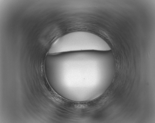 X0000062650549200512211037