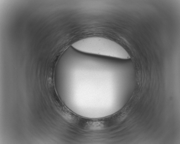 X0000062650553200512211037