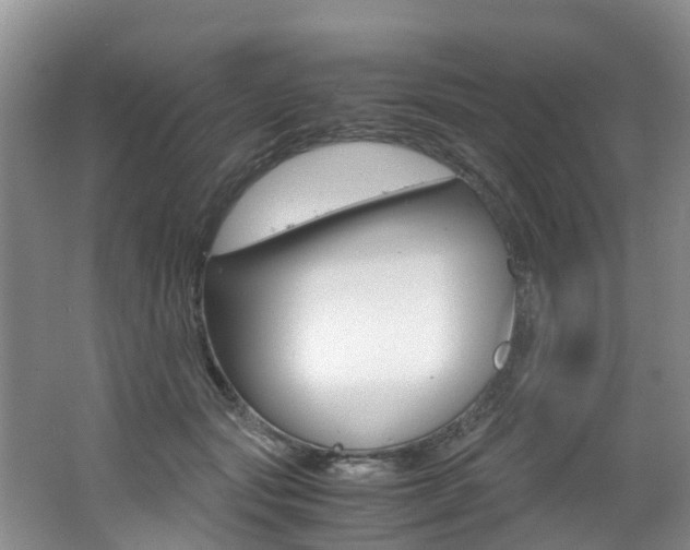 X0000062650557200512211037