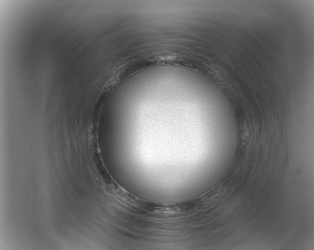 X0000062650559200512211037