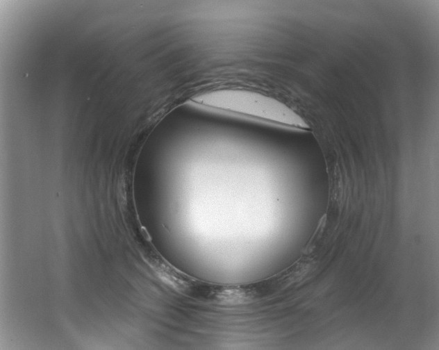 X0000062650562200512211037