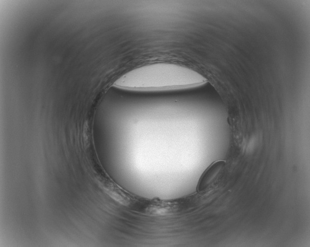 X0000062650563200512211037