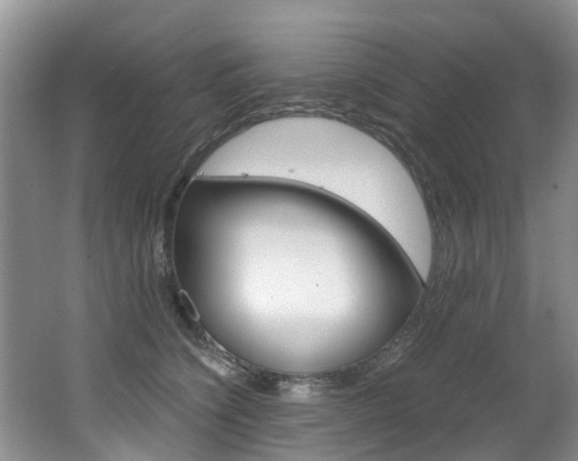 X0000062650564200512211037