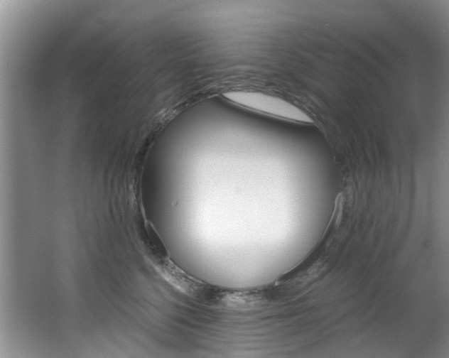 X0000062650568200512211037