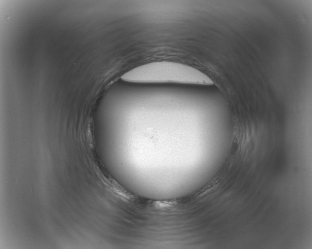 X0000062650573200512211037