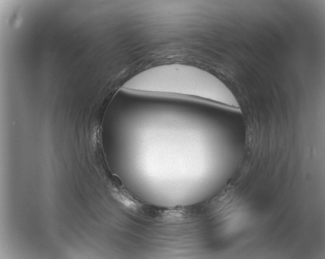 X0000062650574200512211037