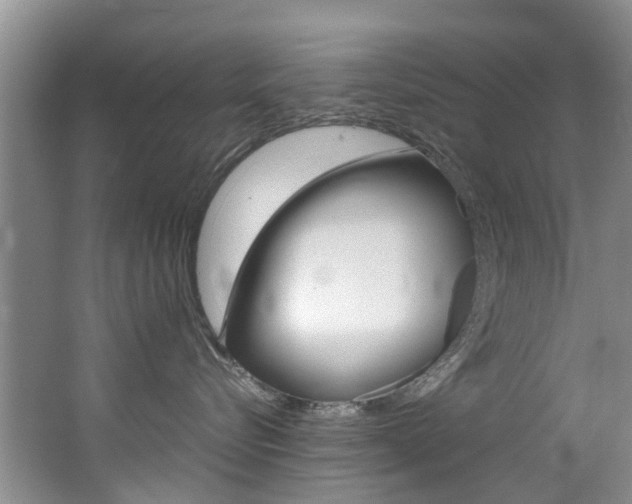 X0000062650576200512211037