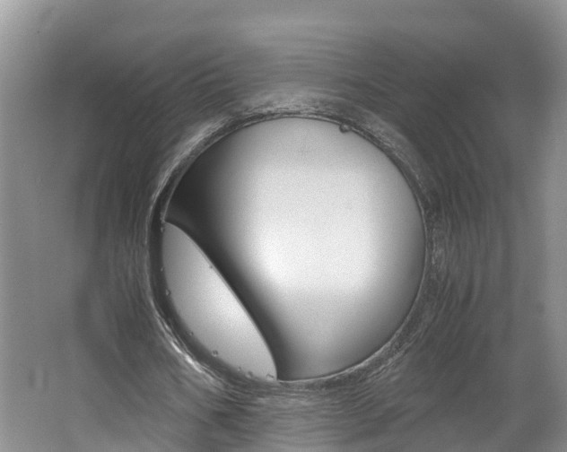X0000062650578200512211036