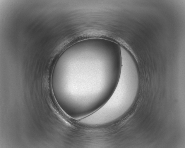 X0000062650581200512211036