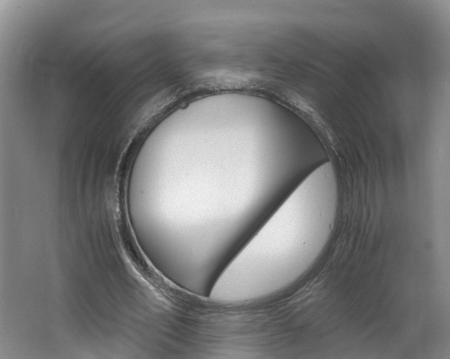 X0000062650582200512211036