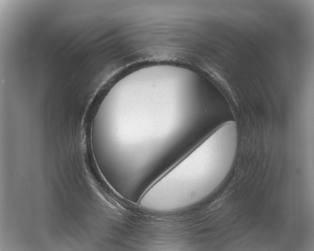 X0000062650584200512211036