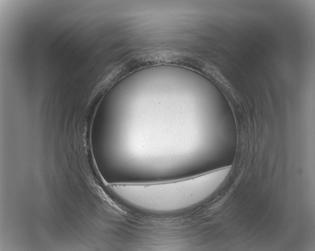 X0000062650585200512211036
