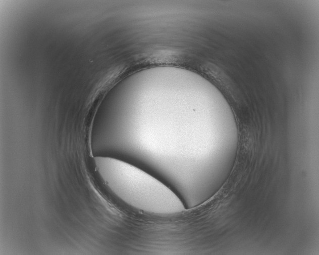 X0000062650586200512211036