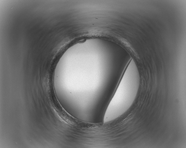 X0000062650588200512211036