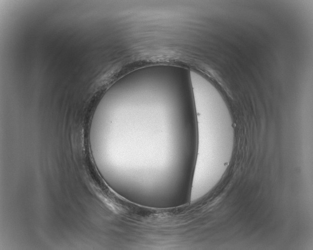 X0000062650589200512211036