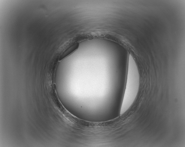 X0000062650593200512211036