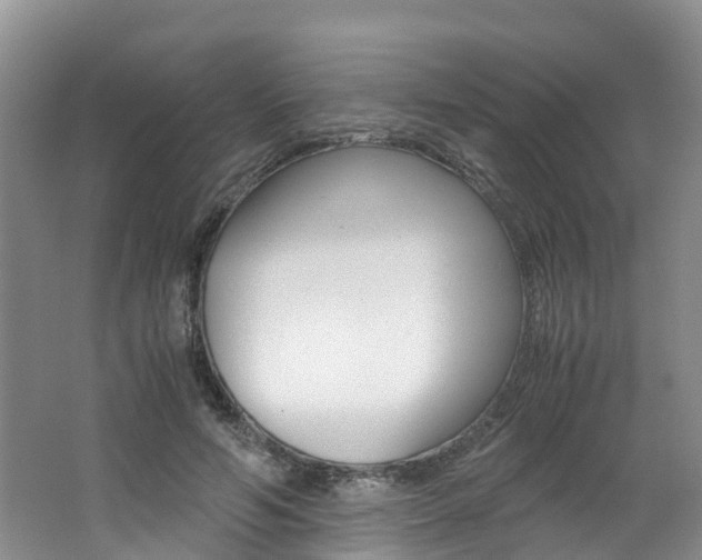 X0000062650594200512211036