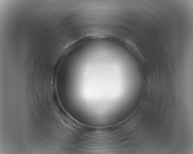 X0000062650596200512211036