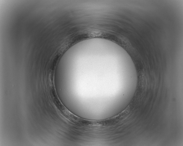 X0000062650598200512211036