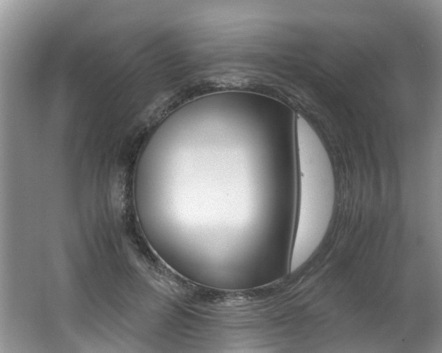 X0000062650600200512211036
