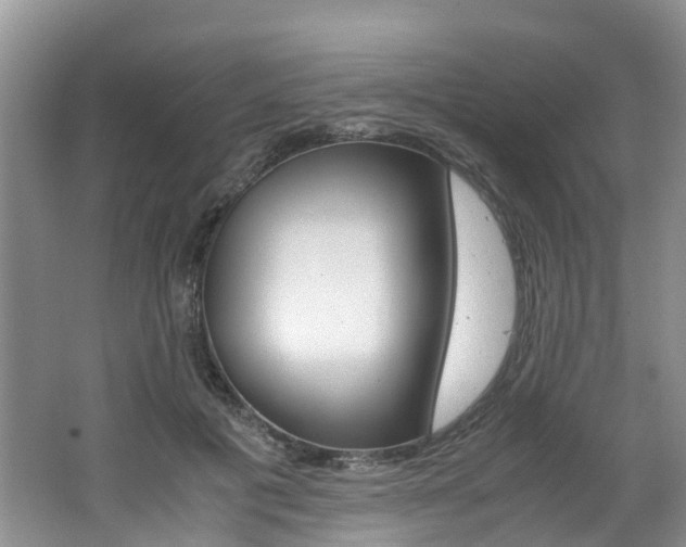 X0000062650601200512211036