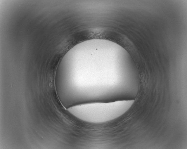 X0000062650602200512211036
