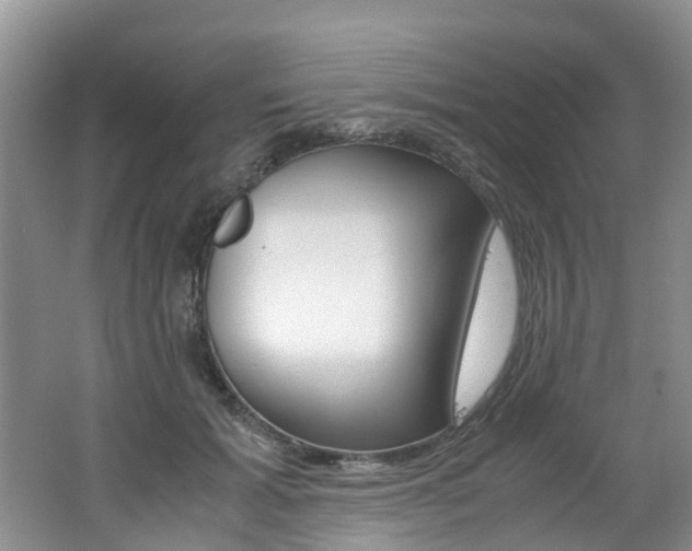 X0000062650605200512211036
