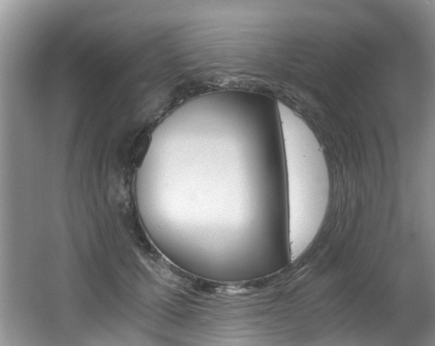 X0000062650607200512211036