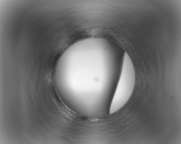 X0000062650611200512211036