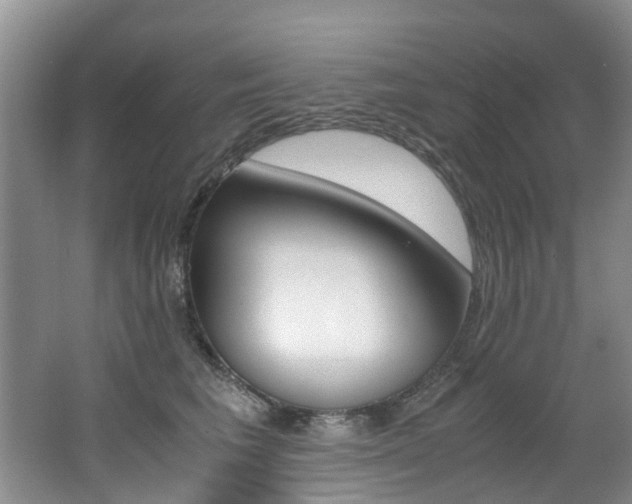 X0000062650613200512211036