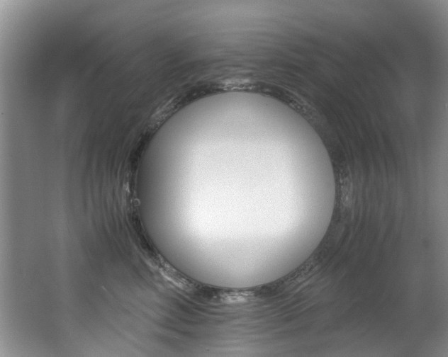 X0000062650618200512211036