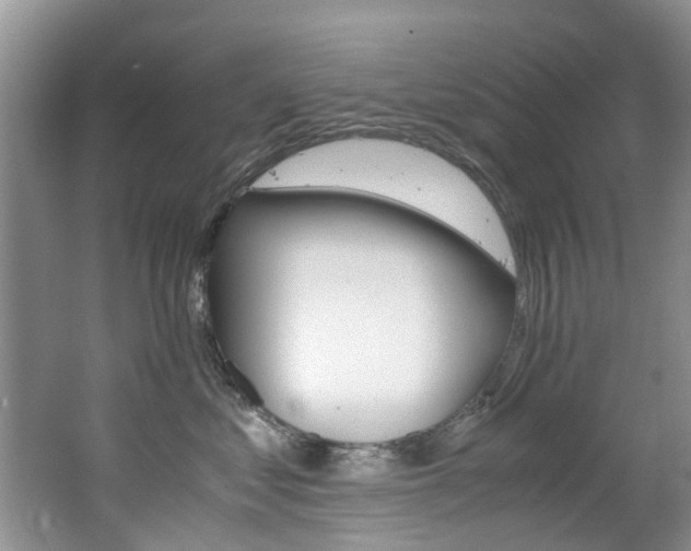 X0000062650621200512211036