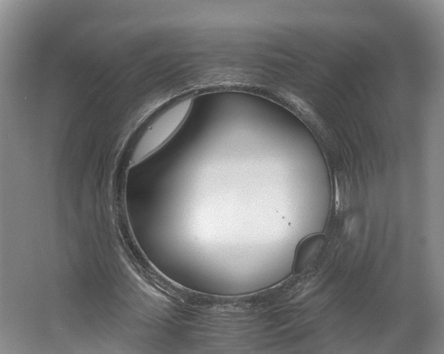 X0000062650627200512211035