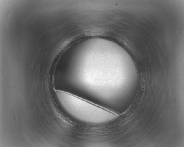 X0000062650631200512211035