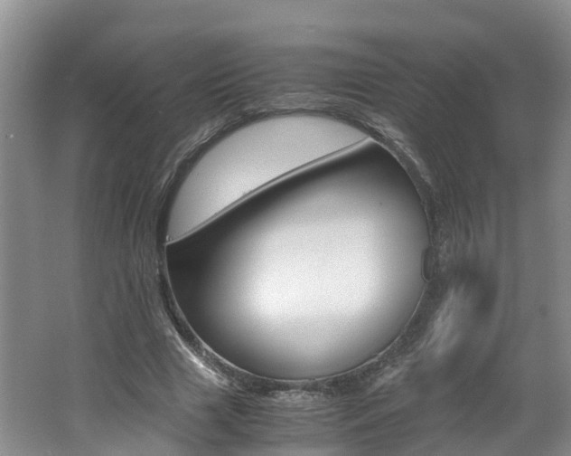 X0000062650633200512211035