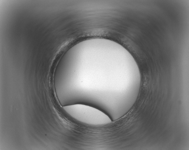 X0000062650636200512211035