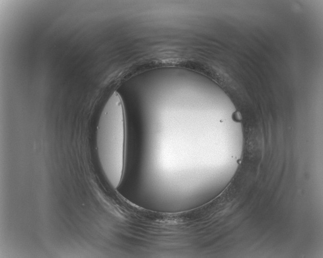 X0000062650639200512211035