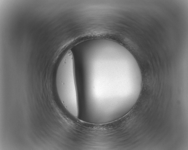X0000062650640200512211035